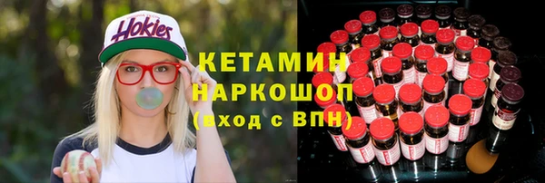 крисы Армянск
